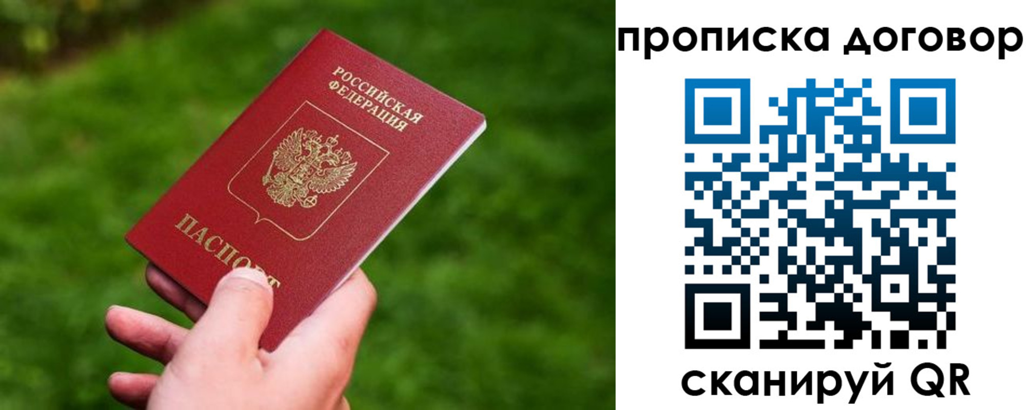 прописка гарантия в Жигулёвске